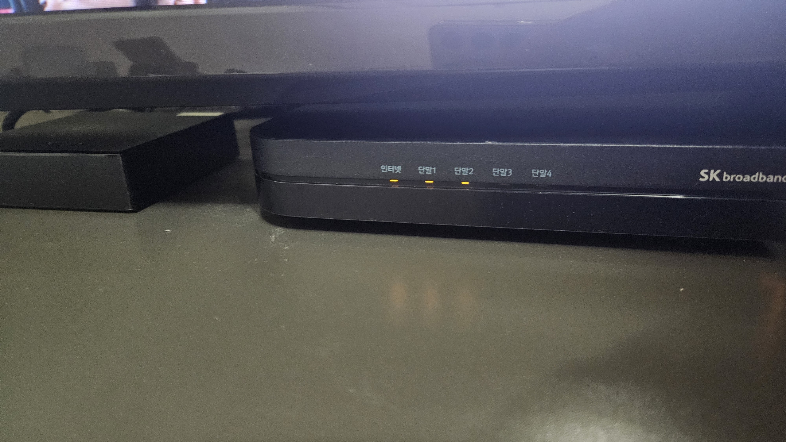 373456253525.jpg
